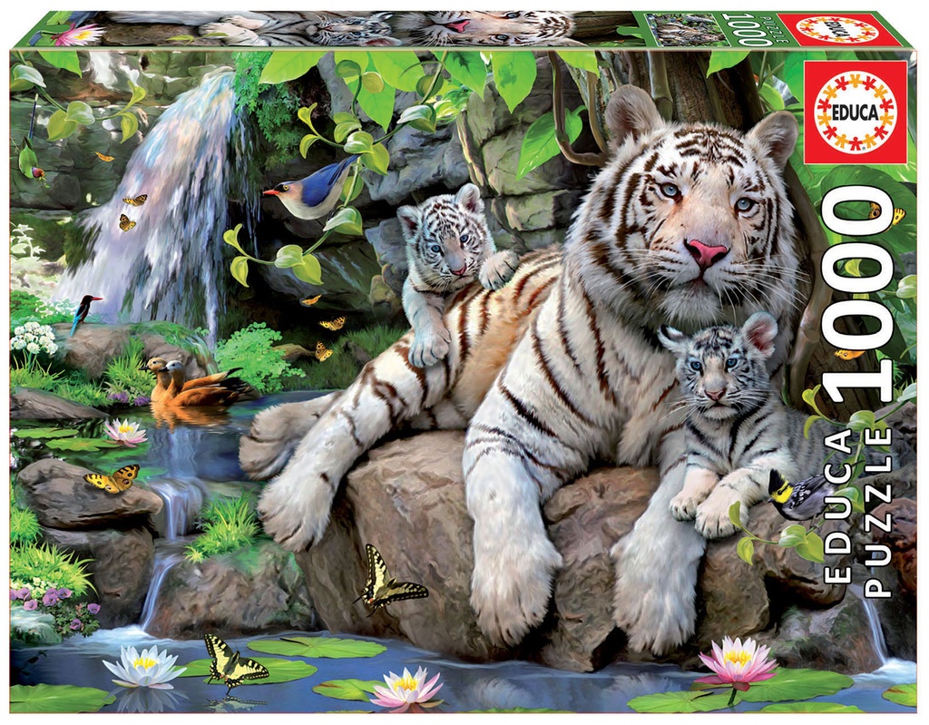 Puzzle 1000 piezas -Tigres Blancos de Bengala- Educa