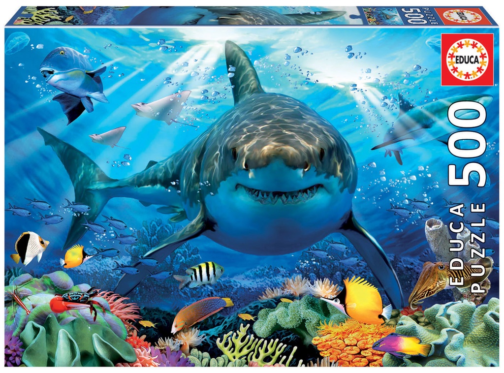 Puzzle 500 piezas -Gran Tiburón Blanco- Educa