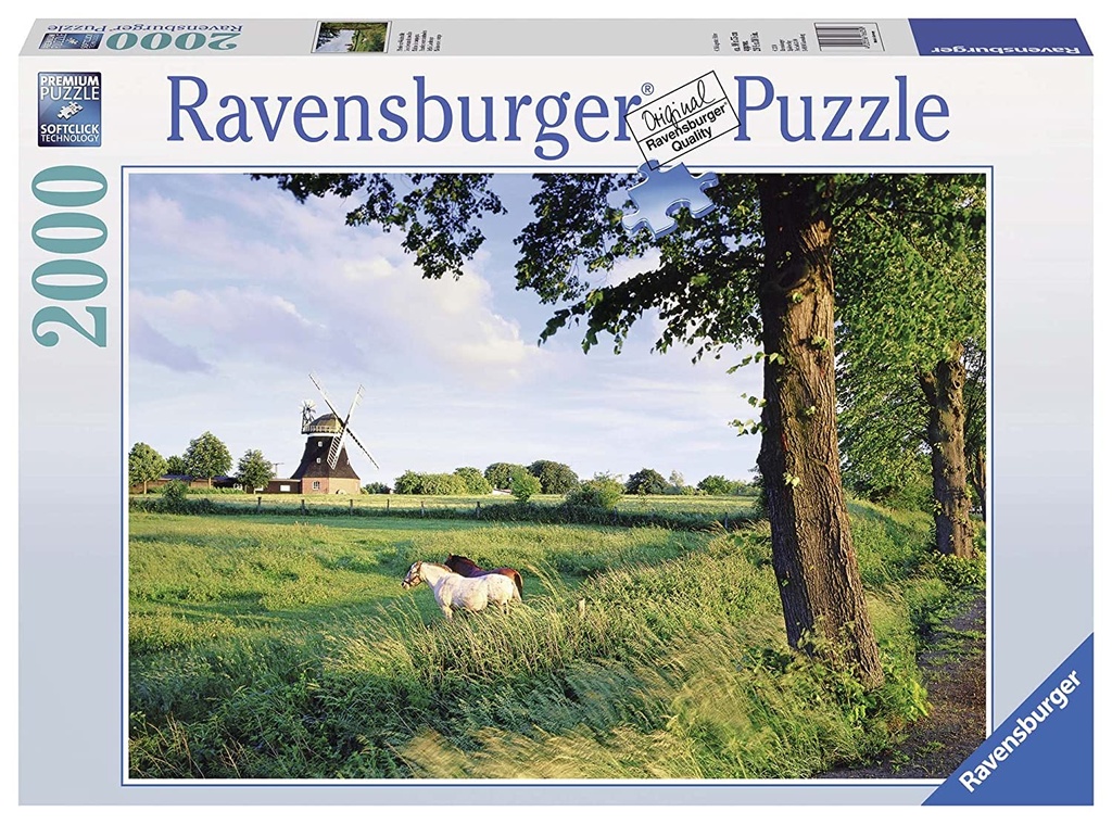Puzzle 2000 piezas -Molino en el Campo- Ravensburger