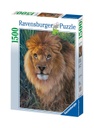 Puzzle 1500 piezas -El Rey de lo Animales- Ravensburger