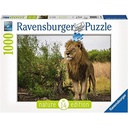 Puzzle 1000 piezas -Rey de los Leones- Ravensburger