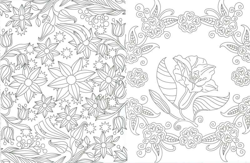 Dibujos de Flores para Colorear- Susaeta Ediciones