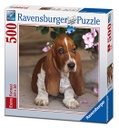Puzzle 500 piezas -Cachorro de Basset- Ravensburger