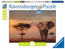 Puzzle 1000 piezas -Elefante de los Masai Mara- Ravensburger