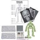 Kidzlabs -Esqueleto Humano Brillante- 4M