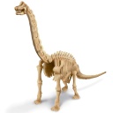 Kidz Labs Paleontología -Esqueleto Brachiosaurus- 4M