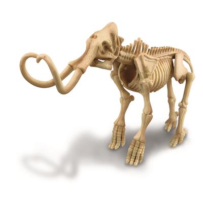 Kidz Labs Paleontología Esqueleto Mamut 4M