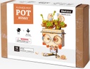 Kit Flower Pot - Pot Bunny- Rolife Robotime