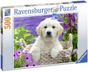 Puzzle 500 piezas -Dulce Golden Retriever- Ravensburger