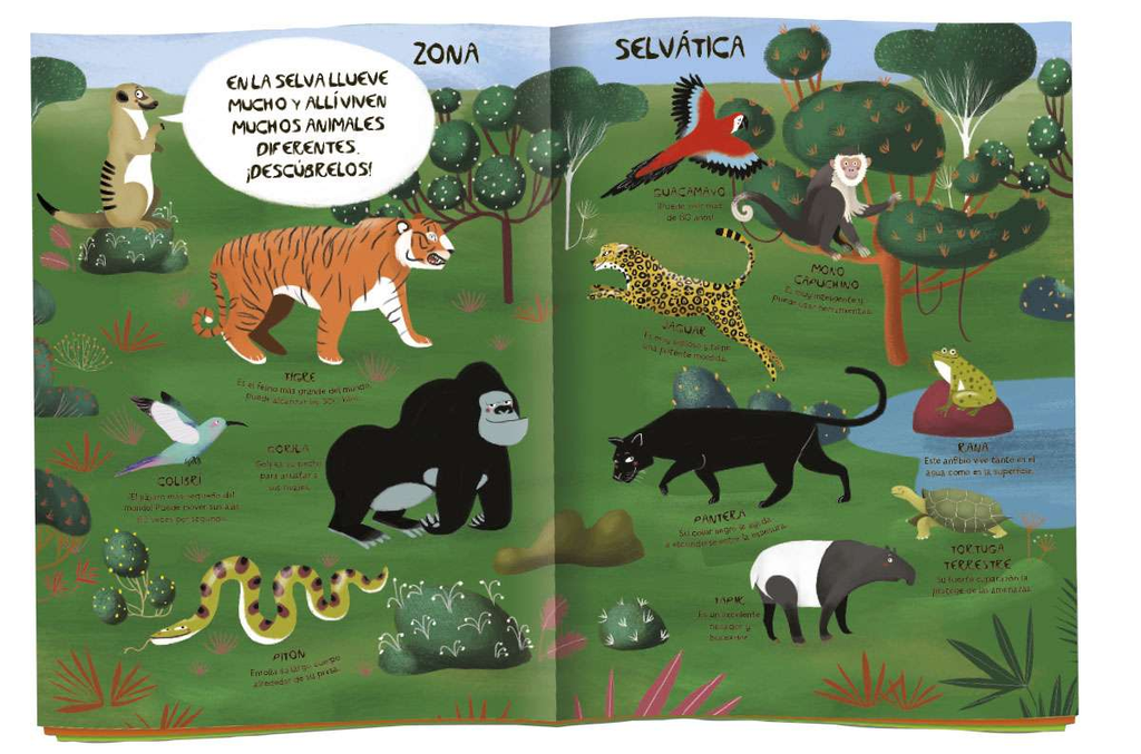 Animales Magnéticos -Fauna Salvaje- Susaeta Ediciones