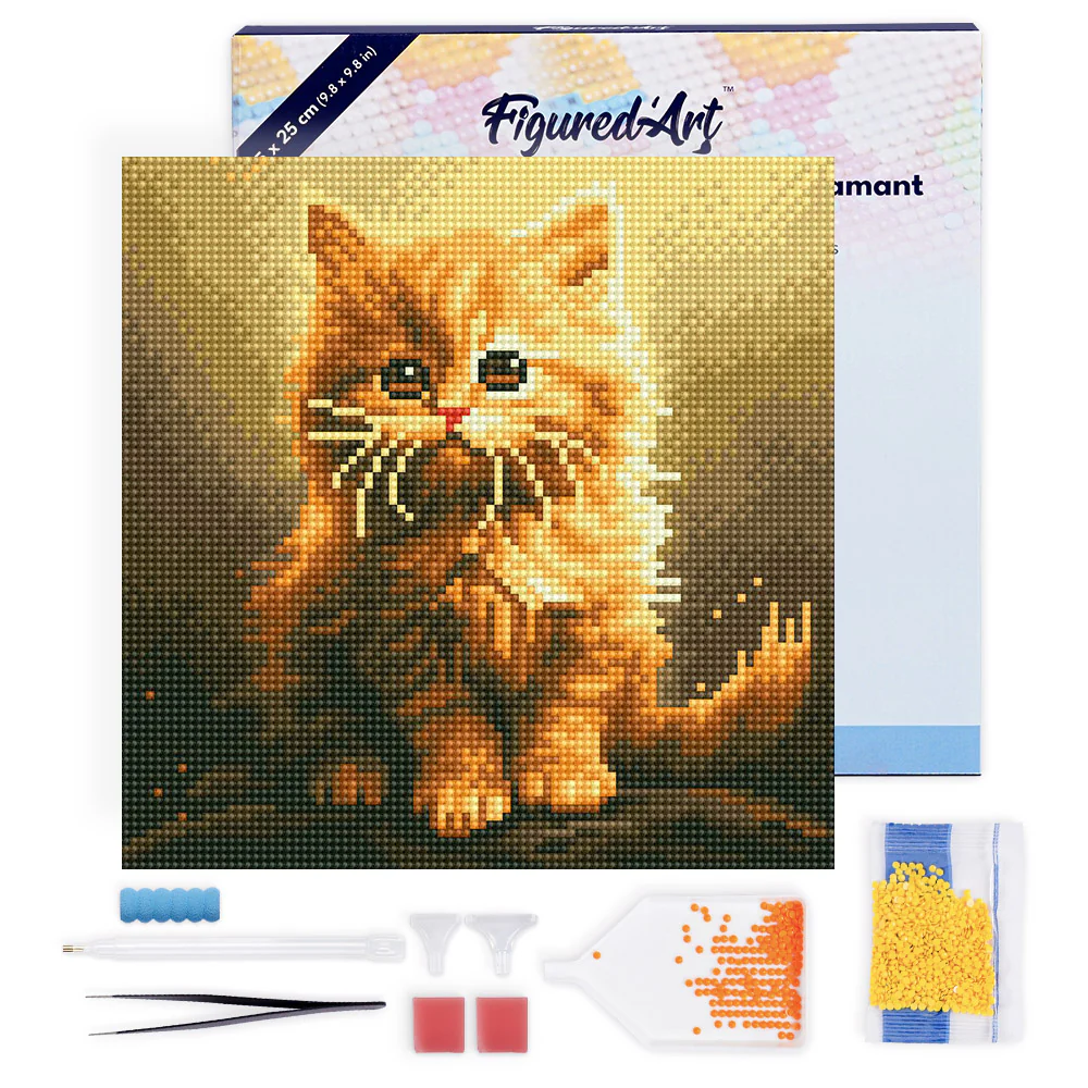 Pintar con Diamantes -Pequeño Gato Naranja- Bastidor 25 x 25 cm. Figured´Art