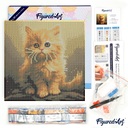 Pintar con Diamantes -Pequeño Gato Naranja- Bastidor 25 x 25 cm. Figured´Art