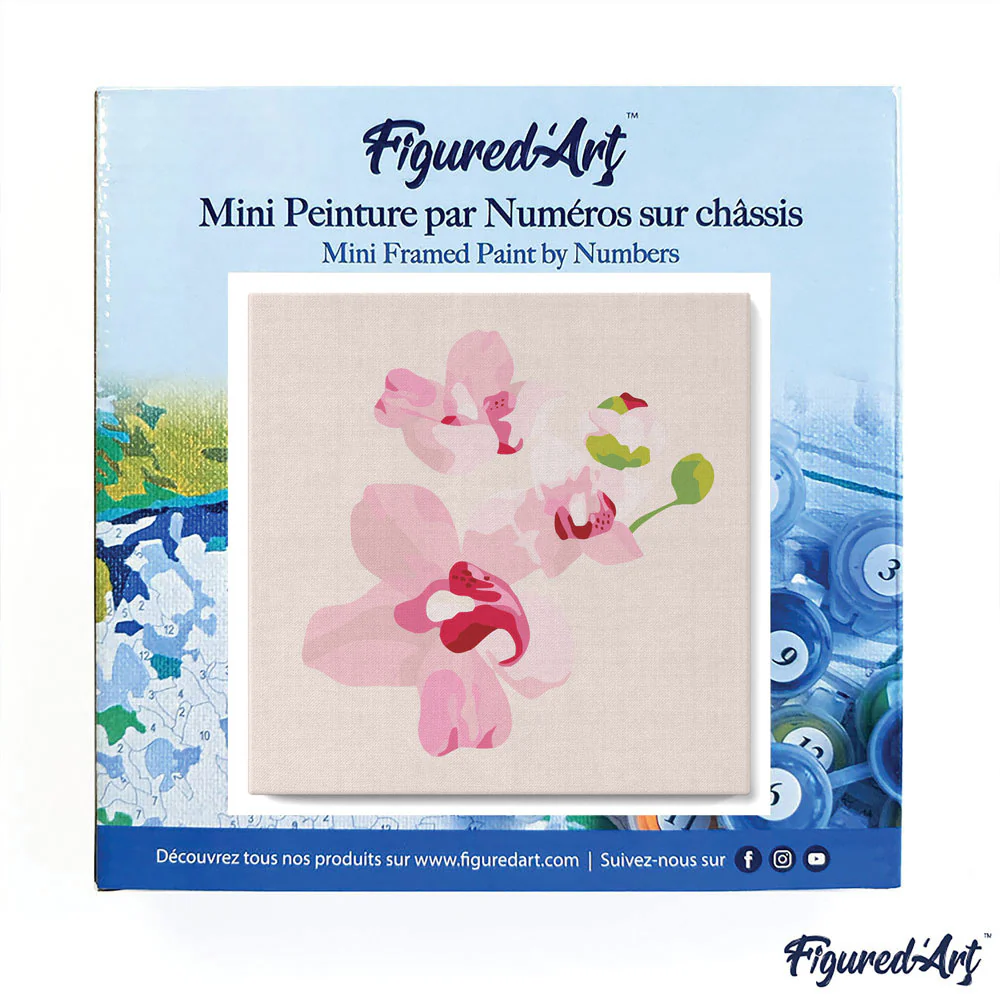 Pintar Por Números -Bonjour- Bastidor 20 x 20 cm. Figured´Art