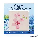 Pintar Por Números -Bonjour- Bastidor 20 x 20 cm. Figured´Art