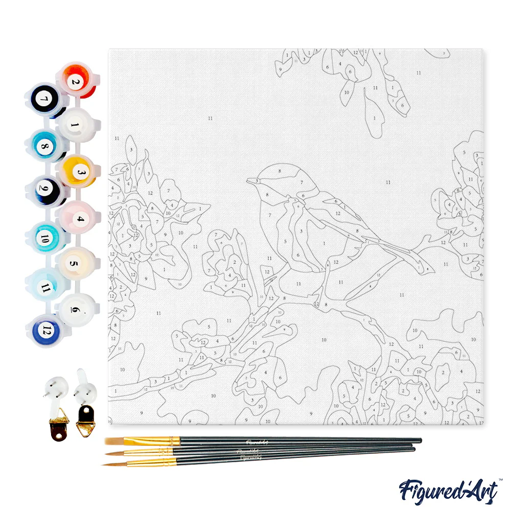 Pintar Por Números -Pajarito en Rama- Bastidor 20 x 20 cm. Figured´Art