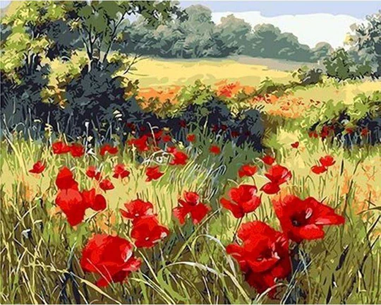 Pintar Por Números -Campo de Amapolas- Bastidor 40 x 50 cm. Figured´Art