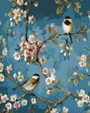 Pintar Por Números -Pájaros- Bastidor 40 x 50 cm. Figured´Art