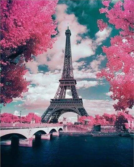 Set Punto de Cruz -Torre Eiffel en Flores- 32 x 40 cm. Figured´Art