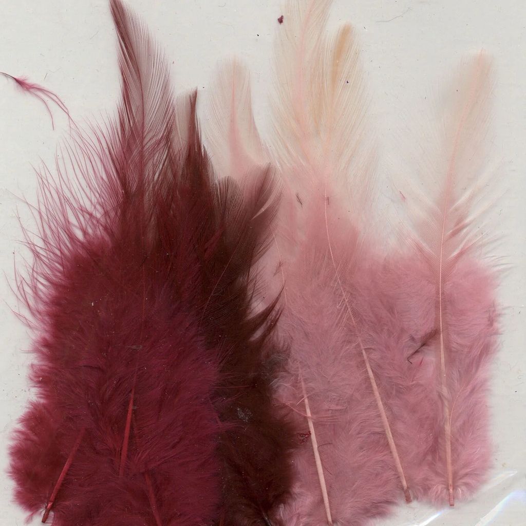 Plumas 8,5 - 15 cm. Wine (15 pzs.)