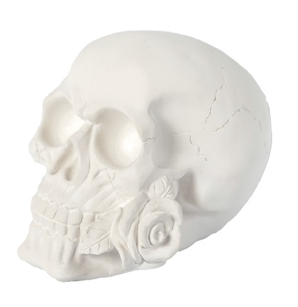 Calavera con Rosa 12 cm. Escayola