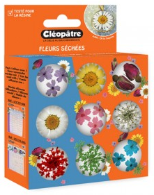 Set 9 Botes Flores Secas para Resinas Cleopatre