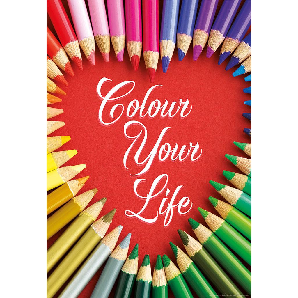 Puzzle 500 piezas -Colour Your Life- Educa