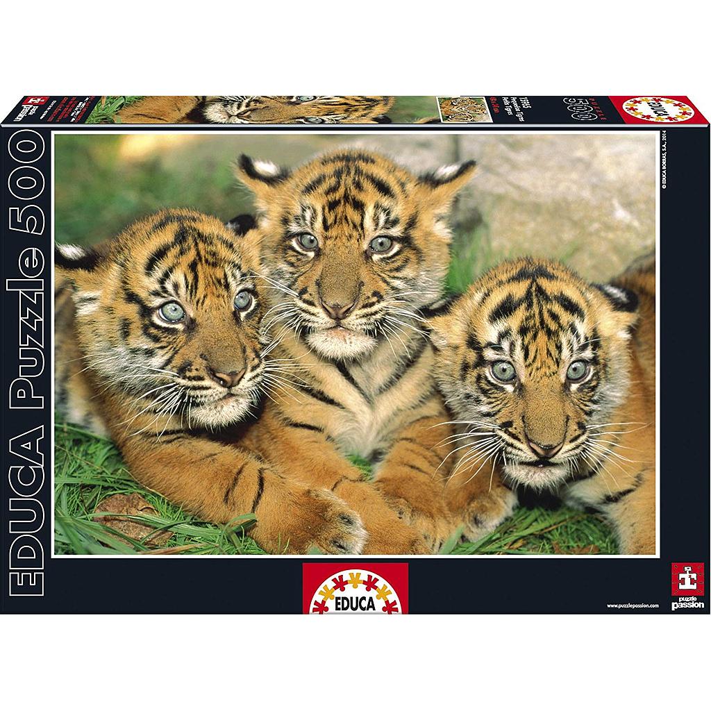 Puzzle 500 piezas -Pequeños Tigres- Educa