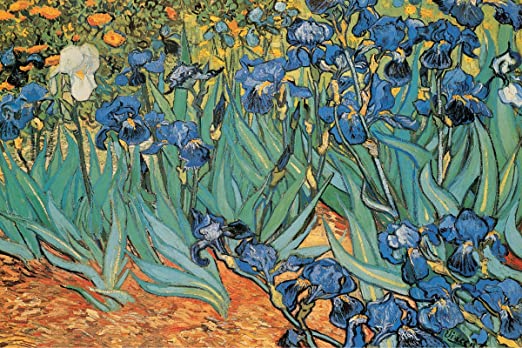 Puzzle 1000 piezas -Irises, Van Gogh- Ricordi