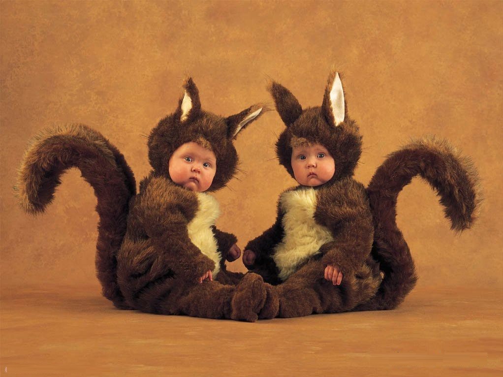 Puzzle 1000 piezas -Squirrels, Anne Geddes- Educa