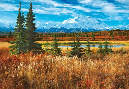 Puzzle 1500 piezas -Parque Nacional Denali, EEUU- Educa