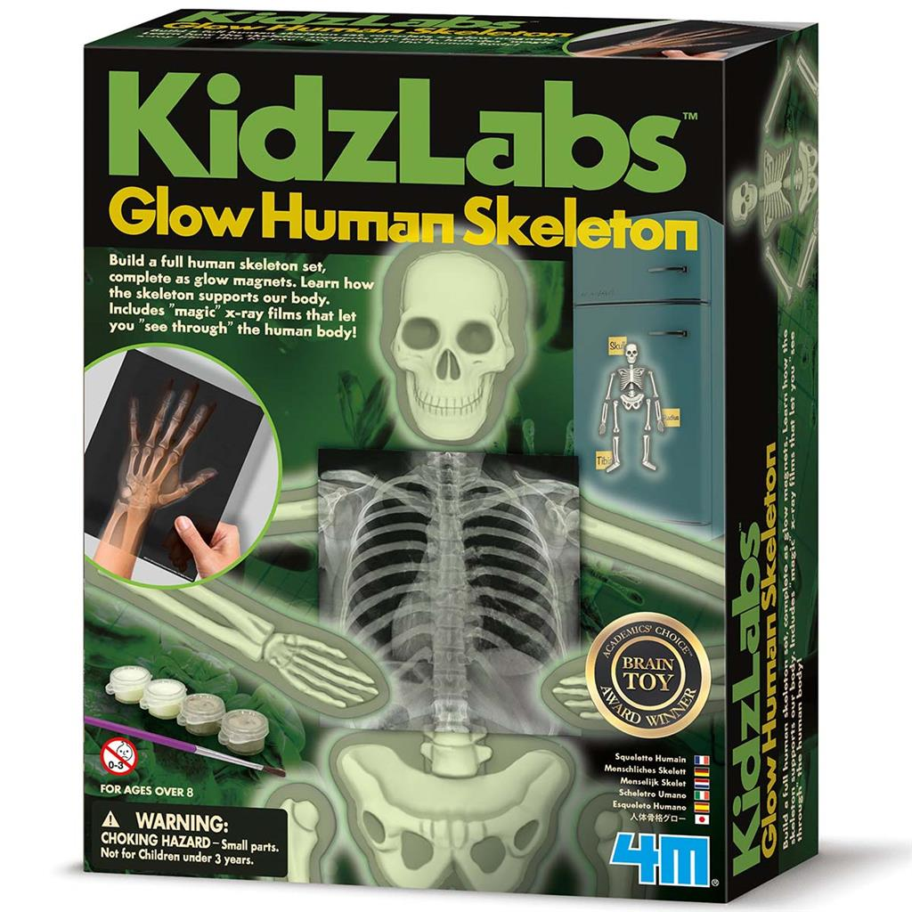 Kidzlabs -Esqueleto Humano Brillante- 4M