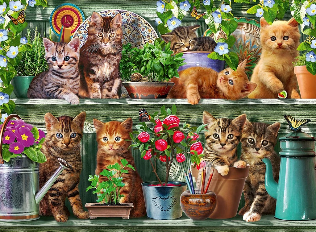 Puzzle 500 piezas -Gatos en la Estantería- Ravensburger