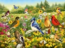 Puzzle 500 piezas -Pájaros en el Prado- Ravensburger