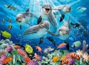 Puzzle 500 piezas -Delfines- Ravensburger