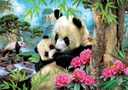 Puzzle 1000 piezas -Osos Panda- Educa