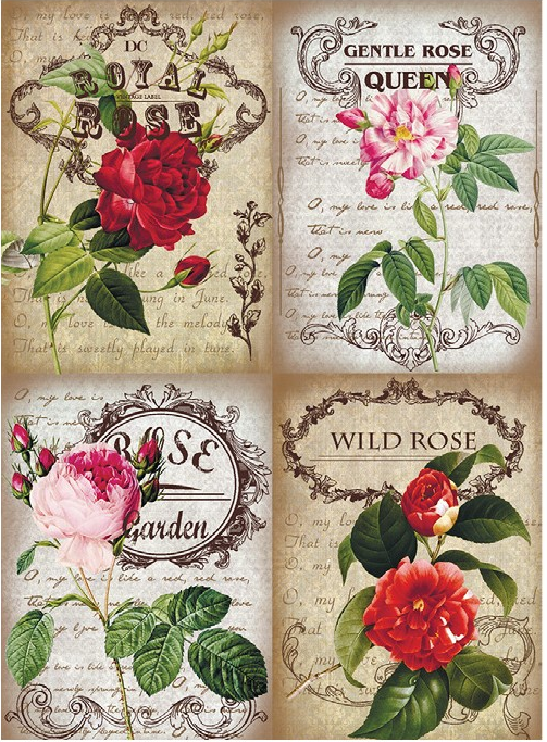 Papel Arroz Decorado 30x40 cm. -Wild Rose- Cadence