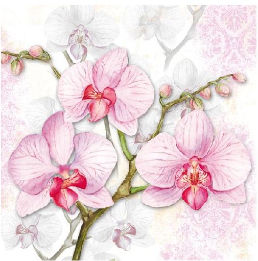 Servilleta 33 x 33 cm. -Orchids Lilac-