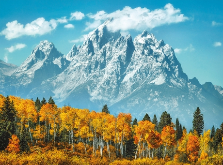 Puzzle 500 piezas -Grand Teton in Fall- Clementoni