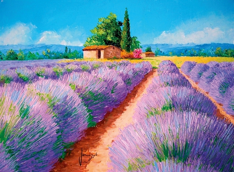 Puzzle 500 piezas -Lavanda- Clementoni