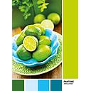 Puzzle 1000 piezas -Pantone: Lime Punch- Clementoni