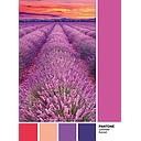 Puzzle 1000 piezas -Pantone: Vivid Viola- Clementoni