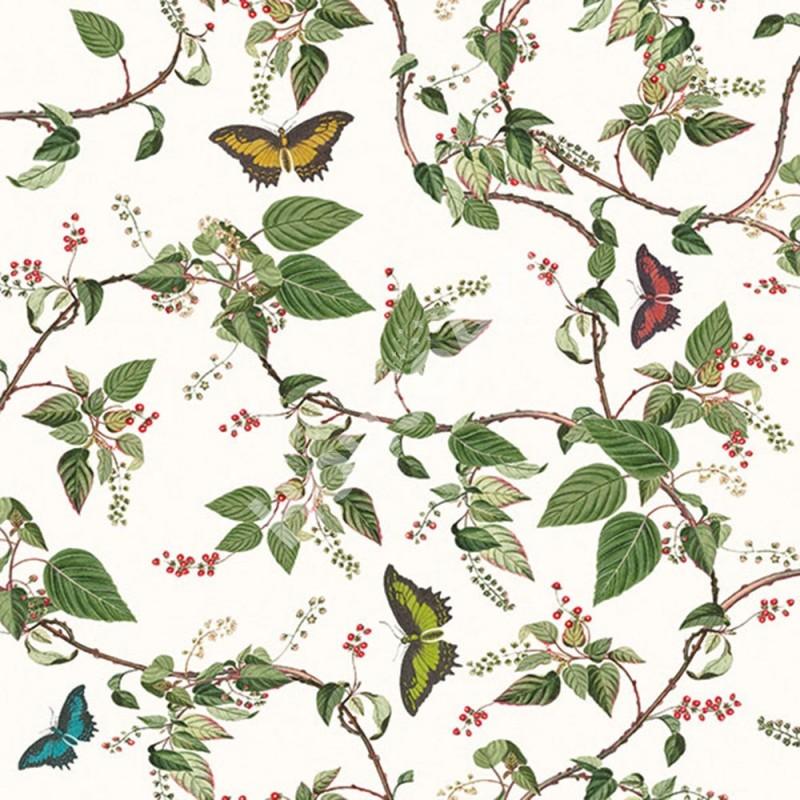 Servilleta 33 x 33 cm. -Butterfly-