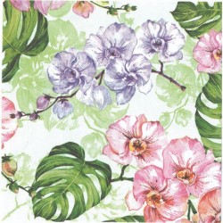 Servilleta 33 x 33 cm. -Orquideas Salvajes-