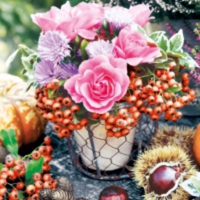 Servilleta 33 x 33 cm. -Centro Floral-