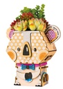 Kit Flower Pot -Pot Koala- Rolife Robotime