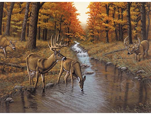 Pintar Por Números 32,4 x 40 cm. -Symond's Creek- Royal & Langnickel