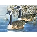 Pintar Por Números 32,4 x 40 cm. -Patos- Royal & Langnickel