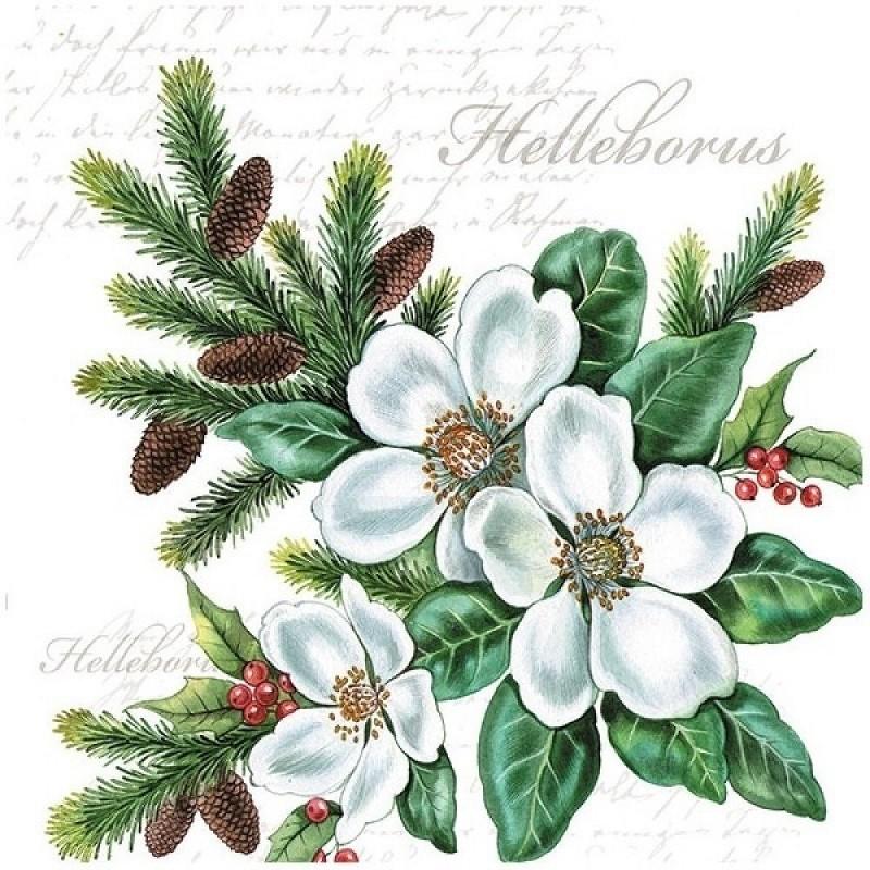 Servilleta 33 x 33 cm. -White Helleborus-