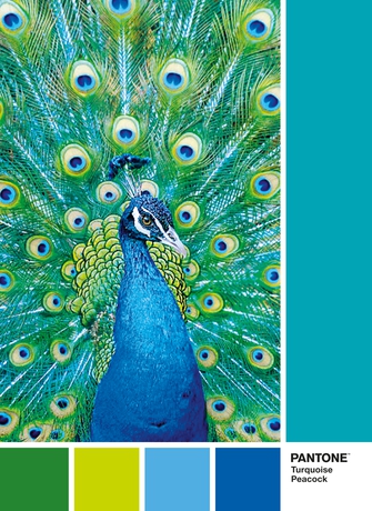 Puzzle 1000 piezas -Pantone: Peacock Blue- Clementoni