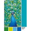 Puzzle 1000 piezas -Pantone: Peacock Blue- Clementoni